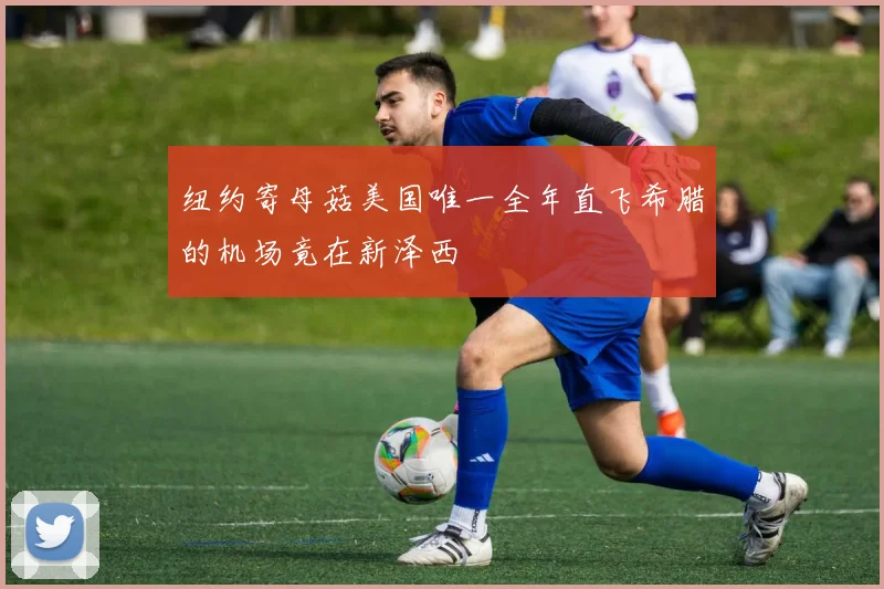 纽约寄母菇美国唯一全年直飞希腊的机场竟在新泽西