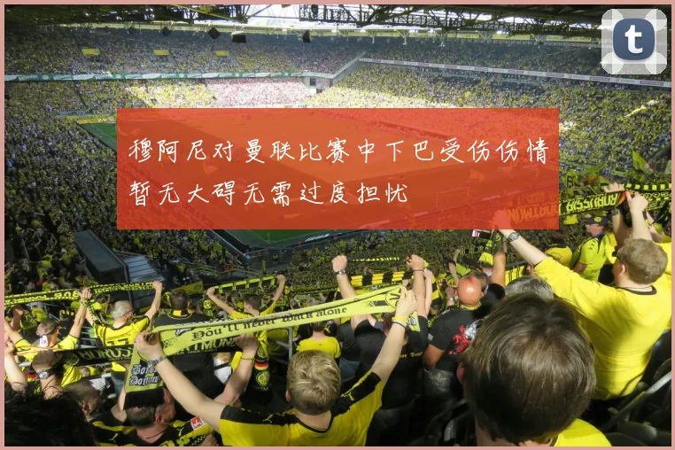 穆阿尼对曼联比赛中下巴受伤伤情暂无大碍无需过度担忧