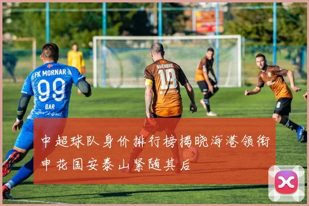 中超球队身价排行榜揭晓海港领衔申花国安泰山紧随其后